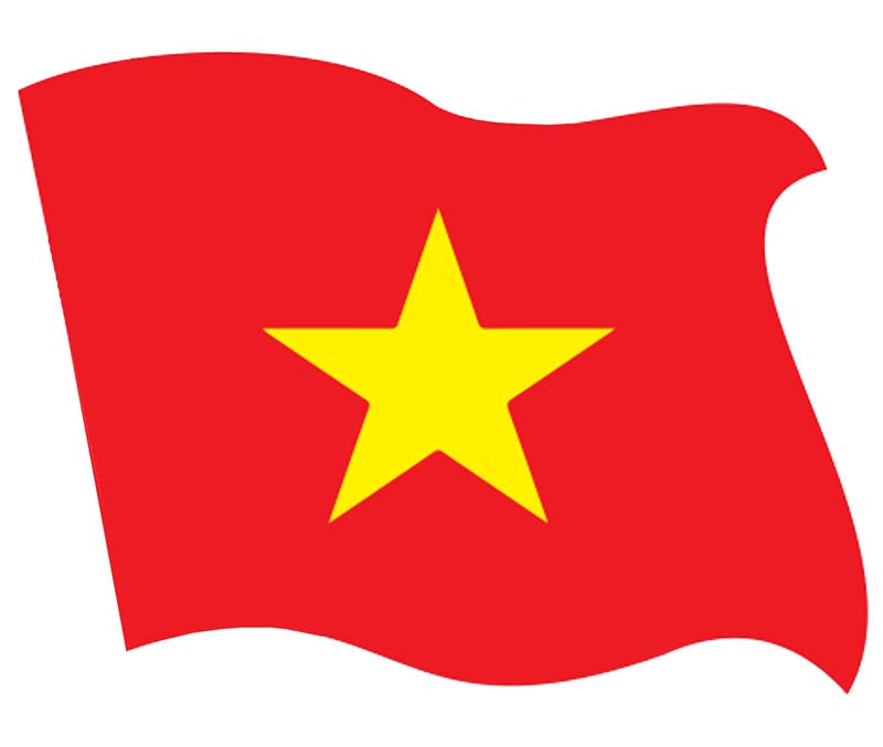 VN Logo